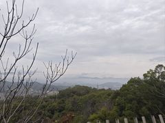 -福道