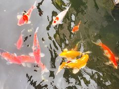 -长春观