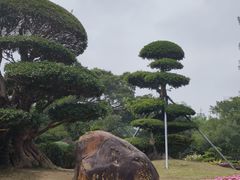 -南宁南湖公园
