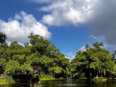 -上海共青森林公园