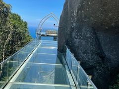 -亚龙湾热带天堂森林公园