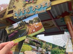 -七彩云南欢乐世界