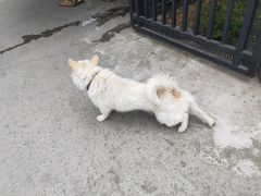 -半山•草庐玖厨(机场路店)