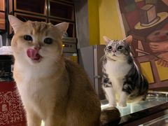 -咖法森林·咖啡  酒吧(天河店)