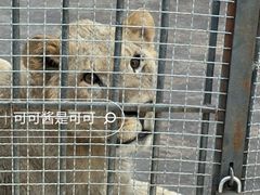 -保定市动物园