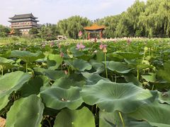 -大明幻境第一城