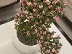 -正清和·推拿养生(二七广场店)