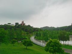 -东莞植物园