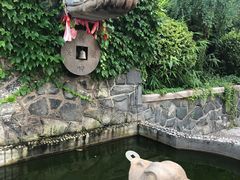 -烟台山景区