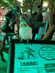 -酷嗒动物文化乐园(cutezoo西溪乐天城店)