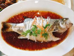 清蒸鲈鱼-金杏·粘卷子 烤鸭 农家菜