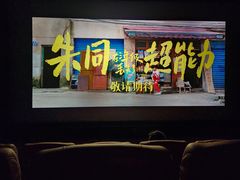 -华美国际影城(旧宫永辉店)