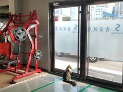 -BD健身私教工作室(CBD店)