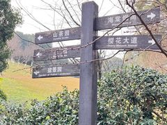 -南山植物园