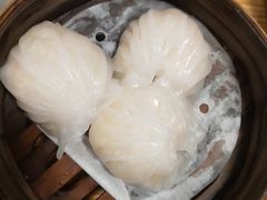 虾饺皇-黄金粥港式·早晚茶(海阳路店)