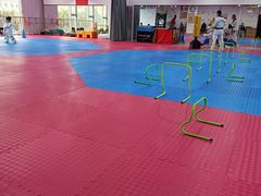 -陈中跆拳道(中关村馆)