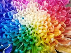 -陶然亭公园