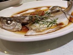 -同庆楼(滨湖万达广场店)