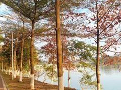 -凤岗南门山森林公园