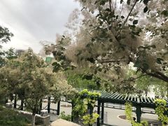 -西海子公园