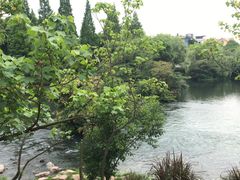 -花溪公园