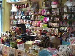 -爱宠屋pet shop·宠物洗澡·宠物美容