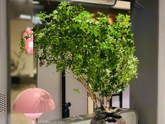 -竹外桃花·江南小酒馆(SKP·S店)