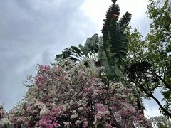 -深圳国际园林花卉博览园