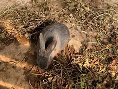 -上海多利农业发展有限公司