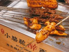 -福苗小骆驼烧烤(莲湖路店)