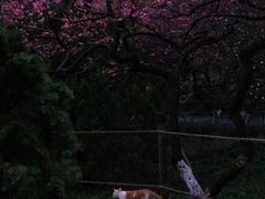 -钱王祠