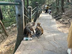 -黔灵山公园