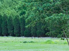 -汉长安城未央宫国家考古遗址公园
