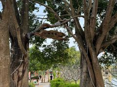 -一寨两国风景区