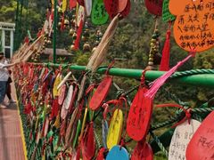 -西双版纳原始森林公园