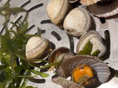 -三个渔夫·蒸汽海鲜(小白楼店)