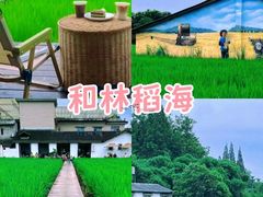 -老鼎万春卤菜(五代传承创始老店)