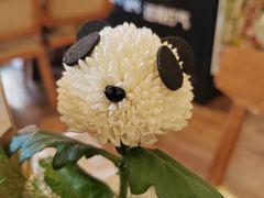 -轩客会(熊猫书店)