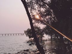 -宝安西湾红树林湿地公园