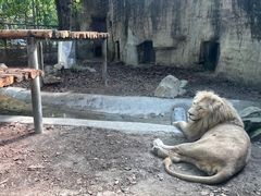 -成都动物园