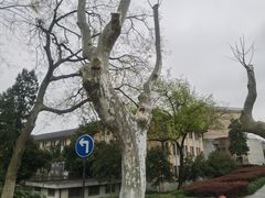 -浙江大学(玉泉校区)