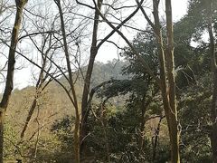 -宋宴(虎跑店)