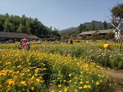 -宁波浙东大竹海景区