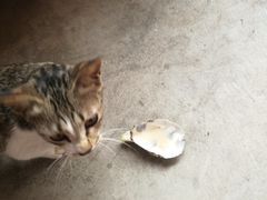 -邹记·美食(斗门店)