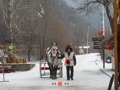 -参仙谷生态旅游度假区