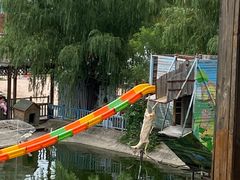 -北京鹿世界主题园