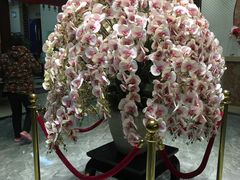 -水中央富硒温泉