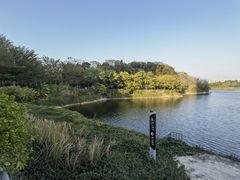-广东花都湖国家湿地公园