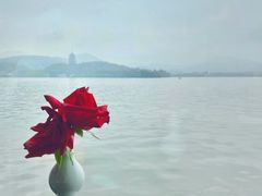 -柳莺湖上·湖景餐厅·江南菜(西湖店)