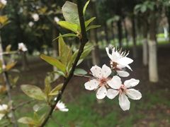 -艾溪湖湿地公园